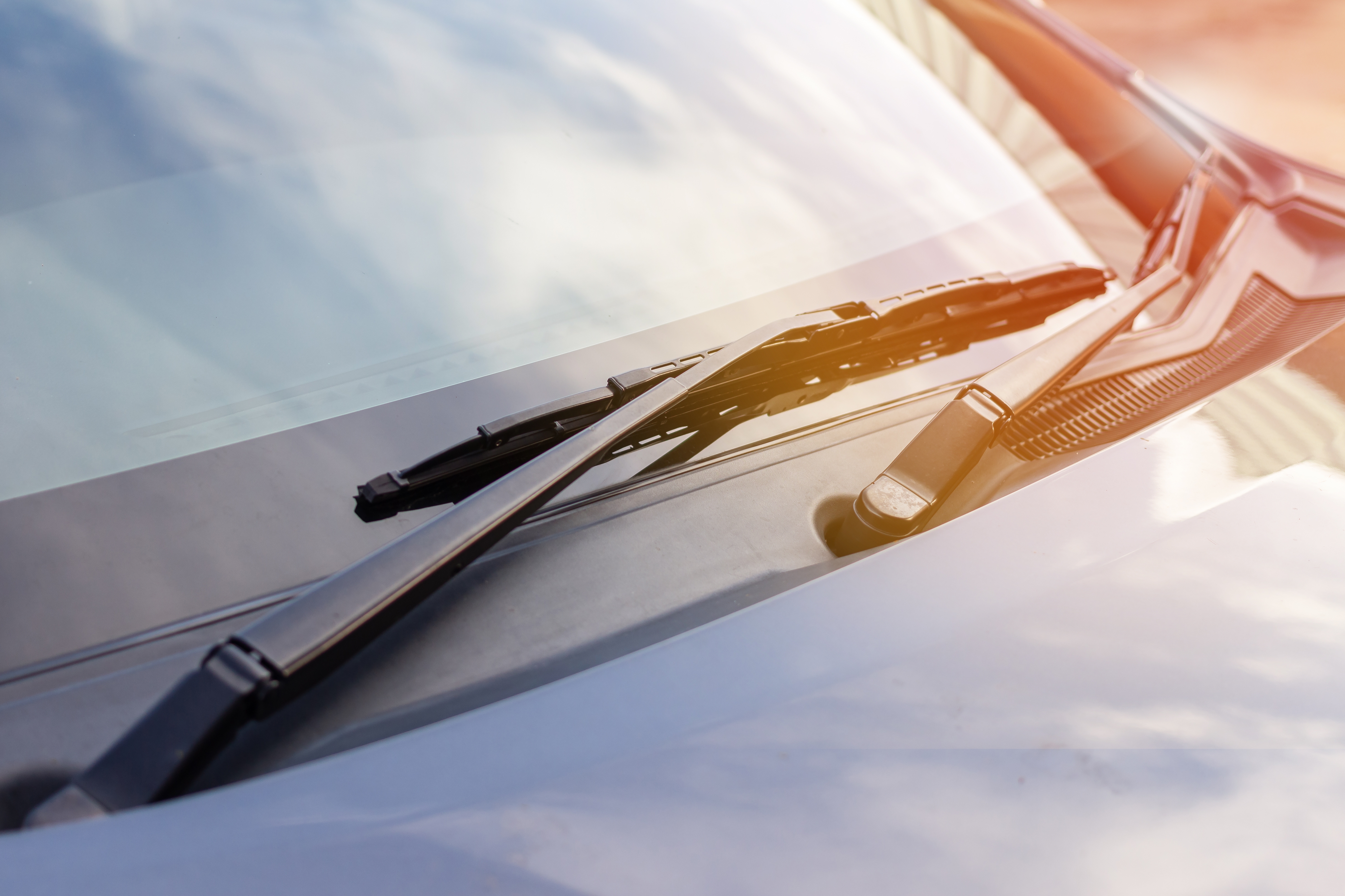 shutterstock_2230176723