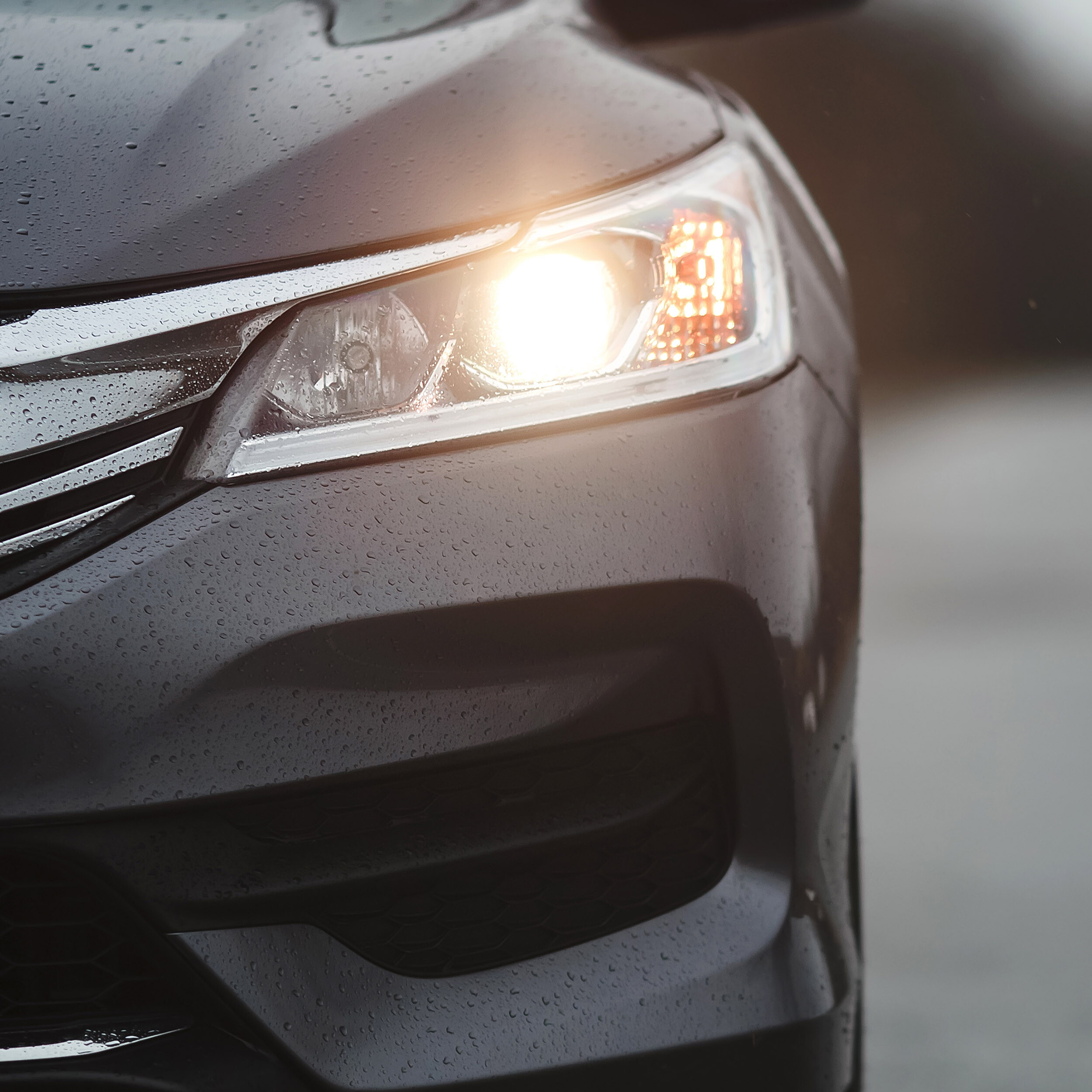 Halogenlampe HIR2 12V 55W | alca® HIR2 Longlife