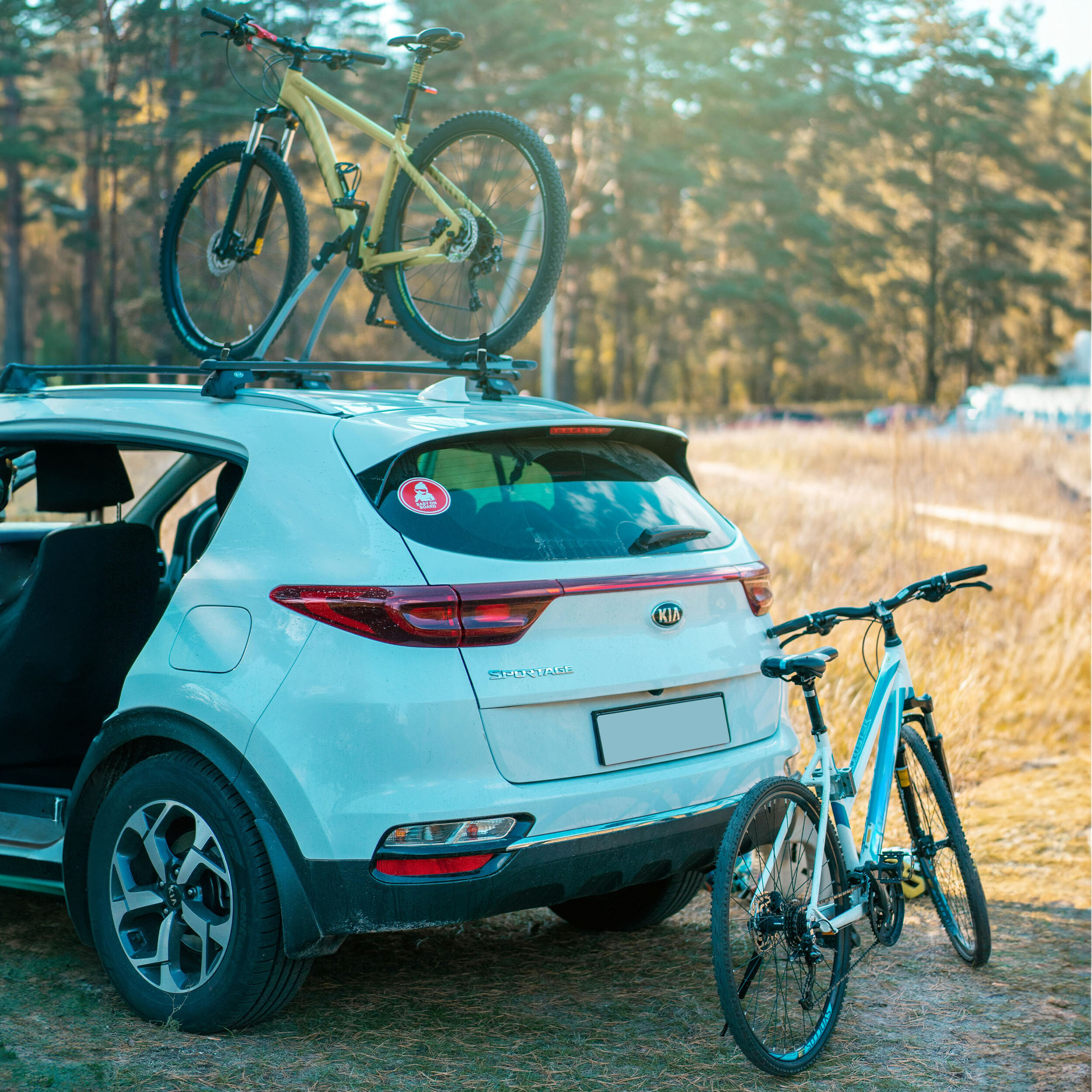 Mini-Spanngurte | alca® Transport Fix Mini 4 x 20cm