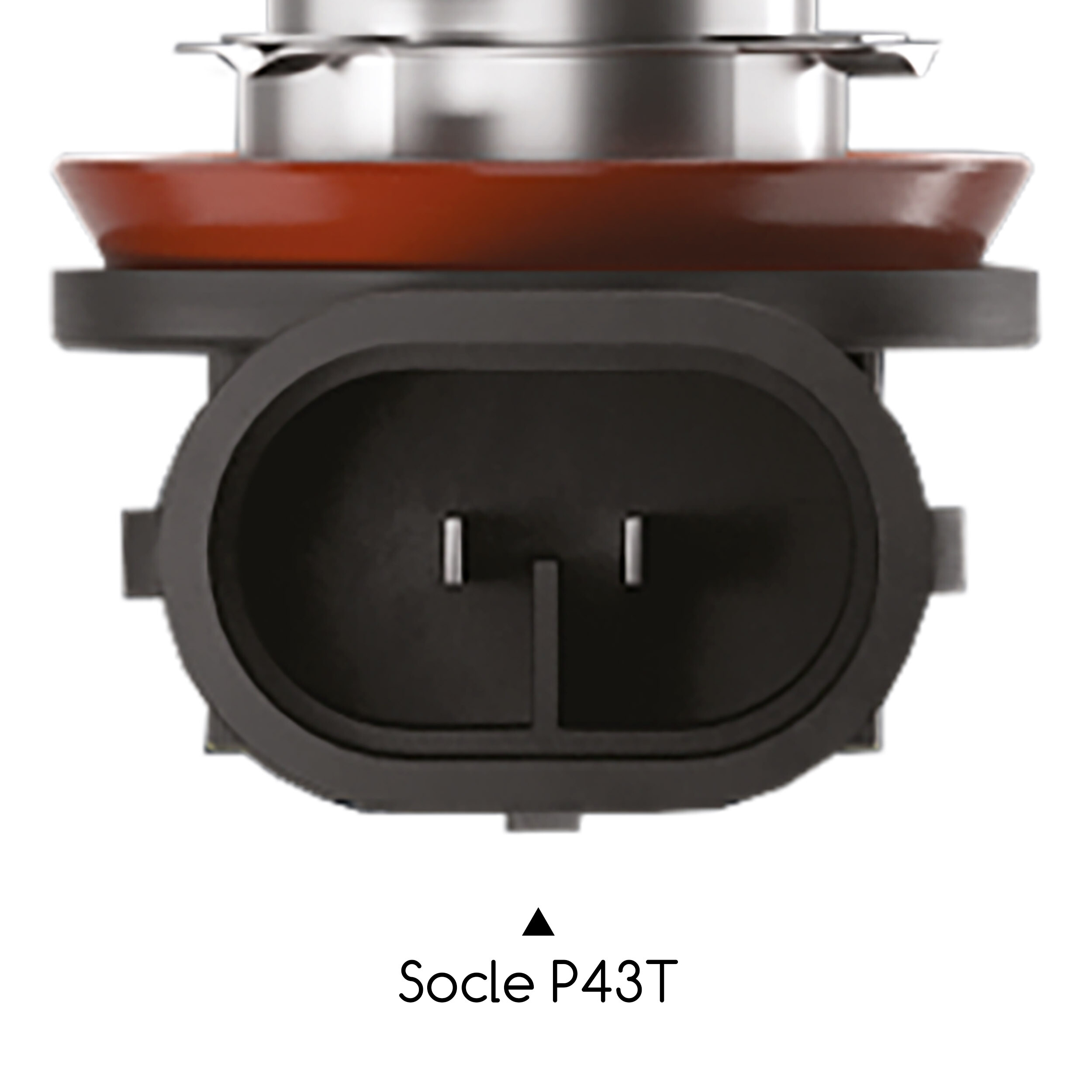 Halogenlampe H11 12V 55W +100% 2Stk. | alca® H11 100%
