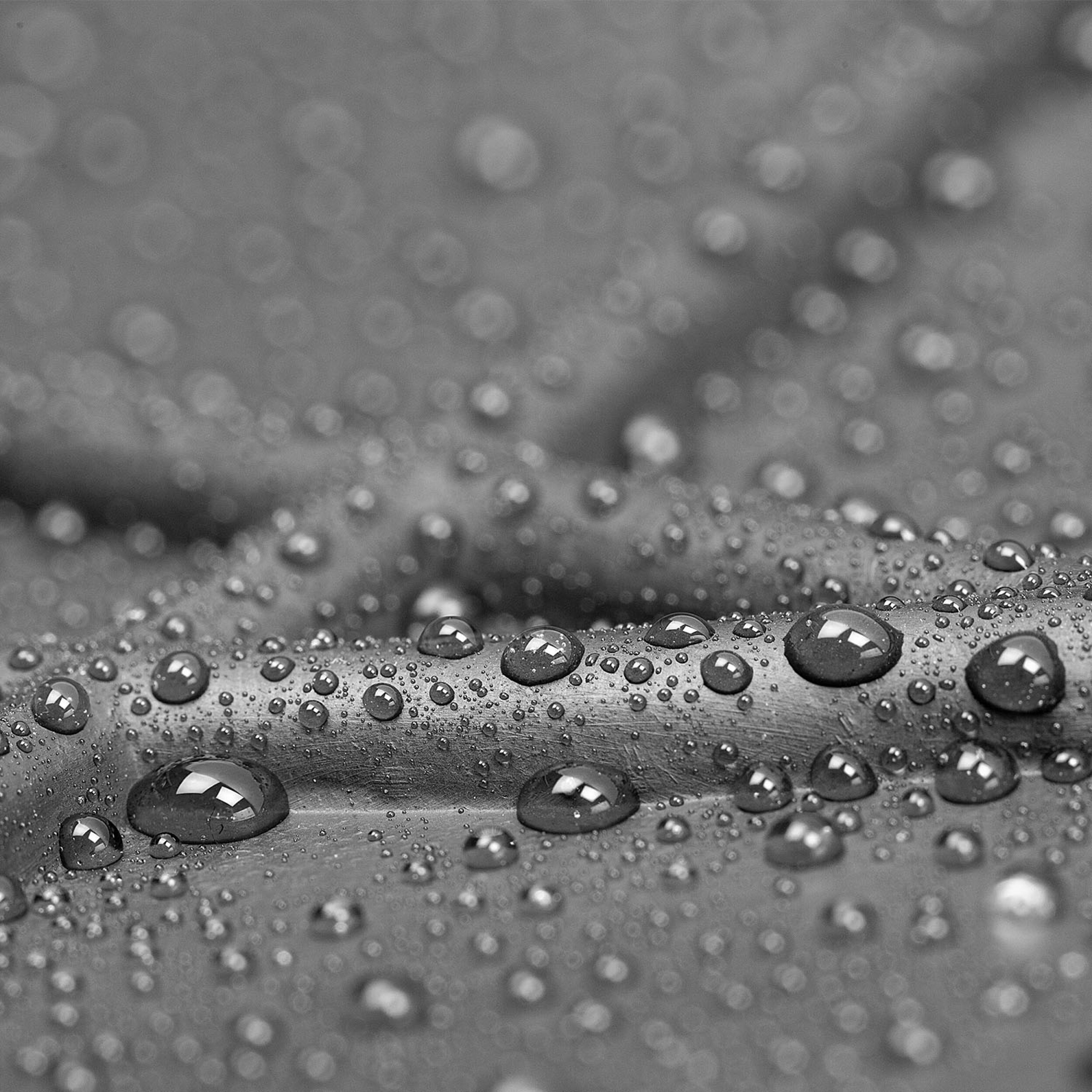 Trunk mat rubber black | alca® TrunkProtectUniversal M