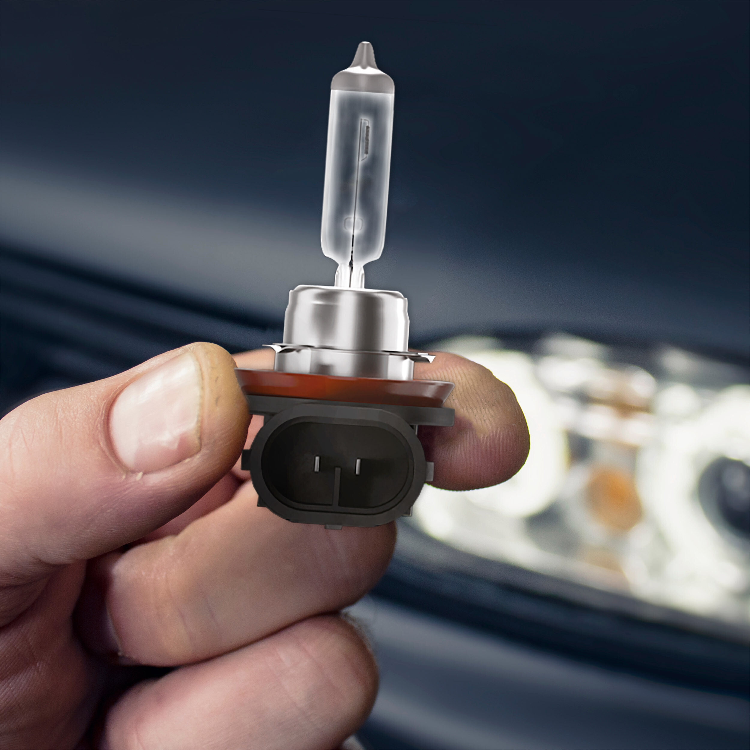 Halogenlampe H11 12V 55W +100% 2Stk. | alca® H11 100%